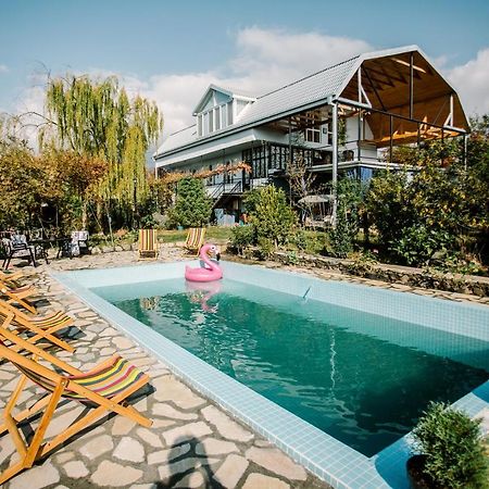 Chateau Dzveli Gavazi Hotel Akhalsopeli  Екстериор снимка